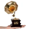 Gramophone Showpiece on palm